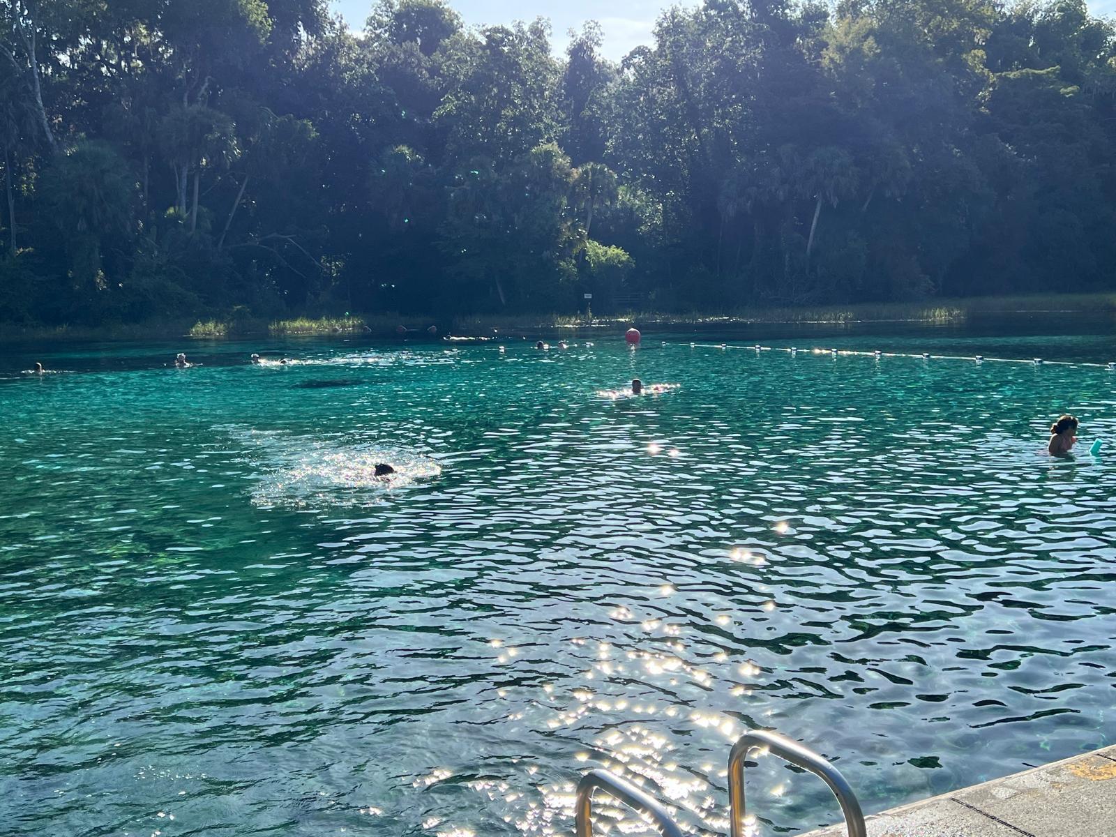 Rainbow Lake Estates - Land