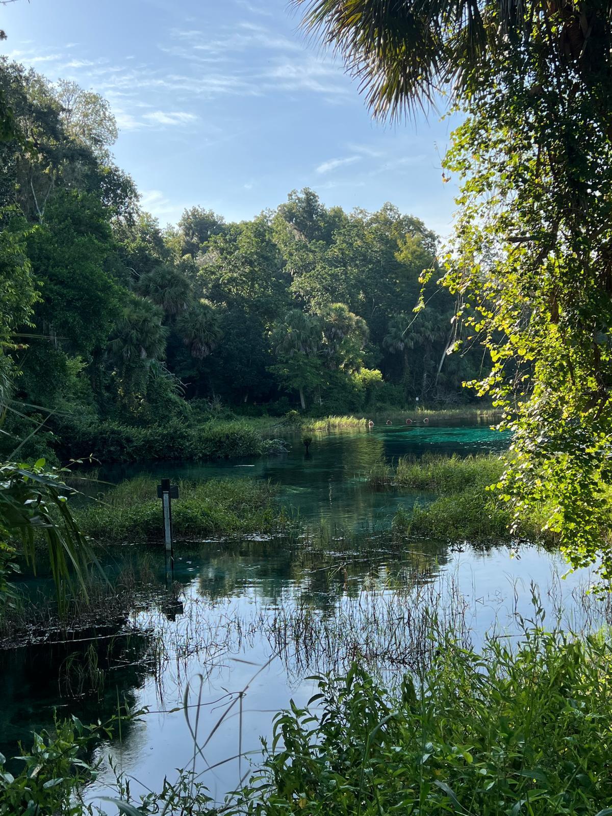 Rainbow Lake Estates - Land