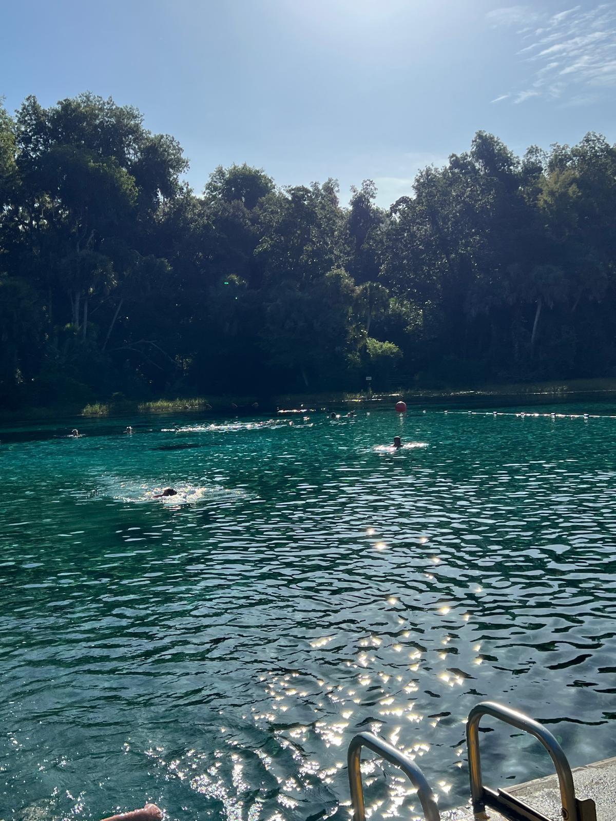 Rainbow Lake Estates - Land