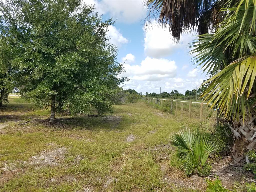 Beautiful, High & Dry 2.5 Acres in the Kissimmee Prairie neighborhood, capped water well on site not in use, electric pole with meter box- currently no meter, approx. 30x40 Open Pole Barn structure, small pond, old house pad still in place on the SW corner, front entry gate, two sides fenced, third side has fence poles in place, but no wire. This lot is only 0.2 miles off the main, paved road on a firm packed dirt road. Get out of the city & come live the Country Lifestyle! Bring all of the animals & enjoy nature at it's best! Just 10 miles to the Kissimmee Prairie Preserve State park where you can go hiking, biking, horse back riding, bird watching, star gazing, Ranger led Buggy Tours, and CAMPING. Don't miss this opportunity to build your dream homestead or have a weekend getaway!!