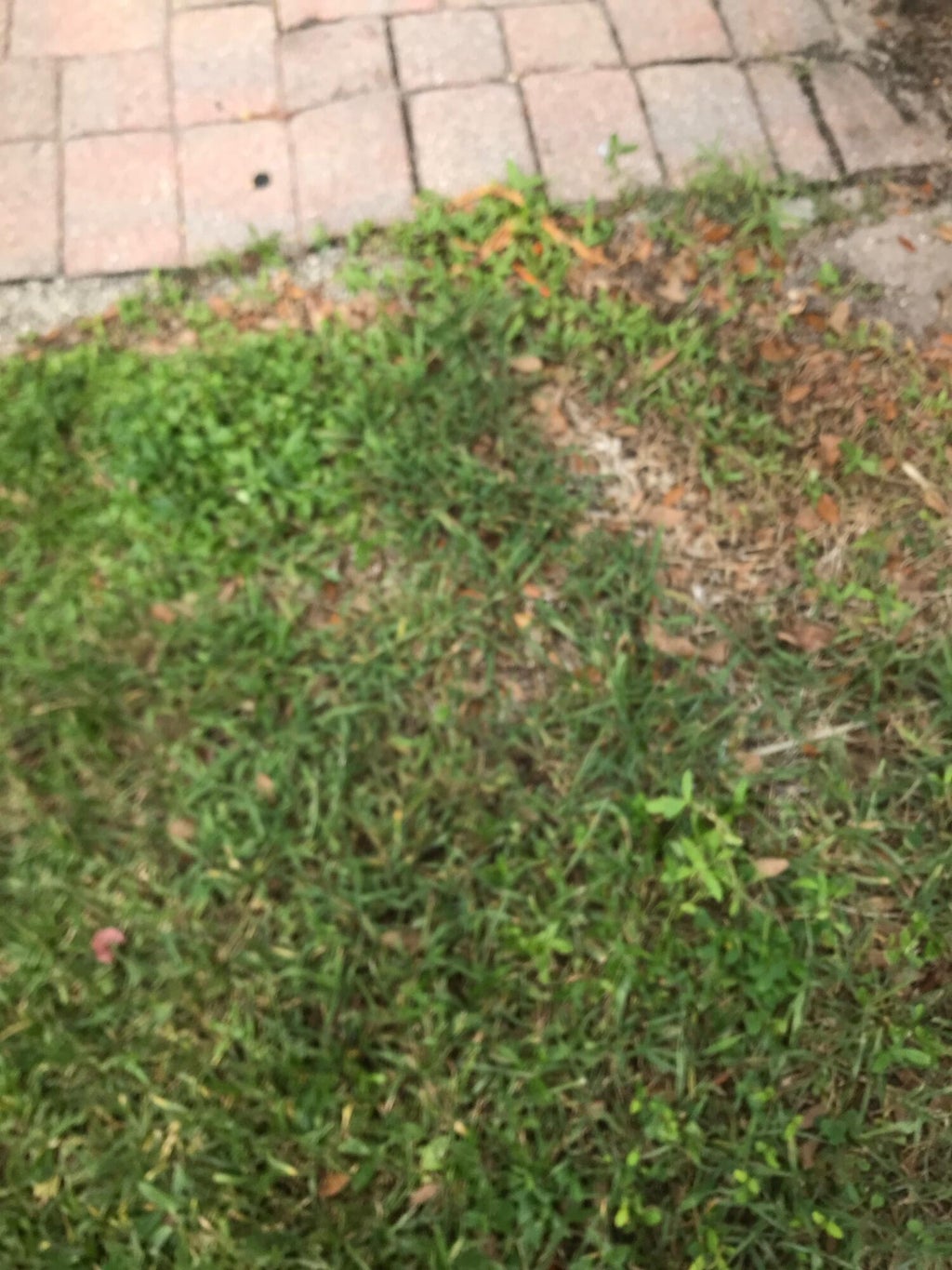 Photo of 5166 SE White Oleander #5166, West Palm Beach, FL 33415 (MLS # B26088802)