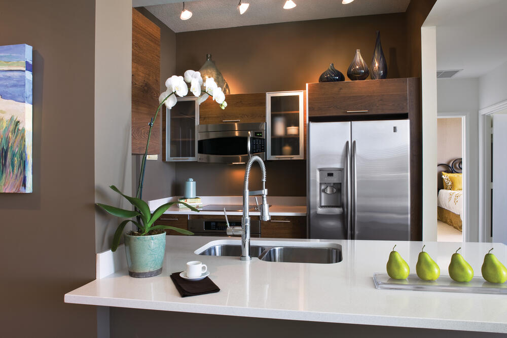 CITY PALMS CONDO - Residential Lease