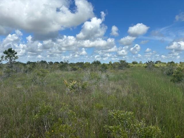 Owner Finance Available
Oversized lot in Viking Estates. Close to the Kissimmee Prairie State Park. Bring your 4 -wheelers. This property is not only ideal for recreational uses such has camping, hunting and shooting, but it’s agricultural as well