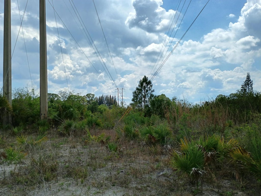 Photo of 0 SW citrus Street SW, Palm City, FL 34990 (MLS # B26080753)
