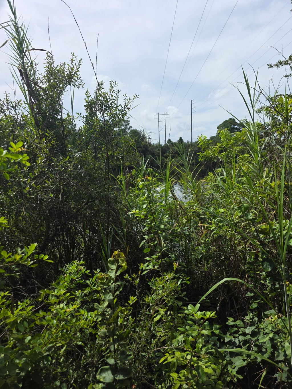 Photo of 0 SW citrus Street SW, Palm City, FL 34990 (MLS # B26080753)
