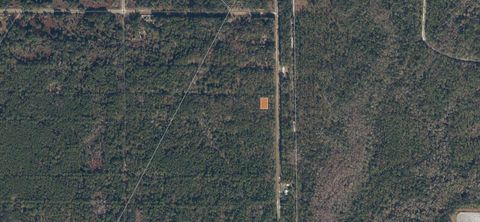 339 Chipola Drive Georgetown FL 32139