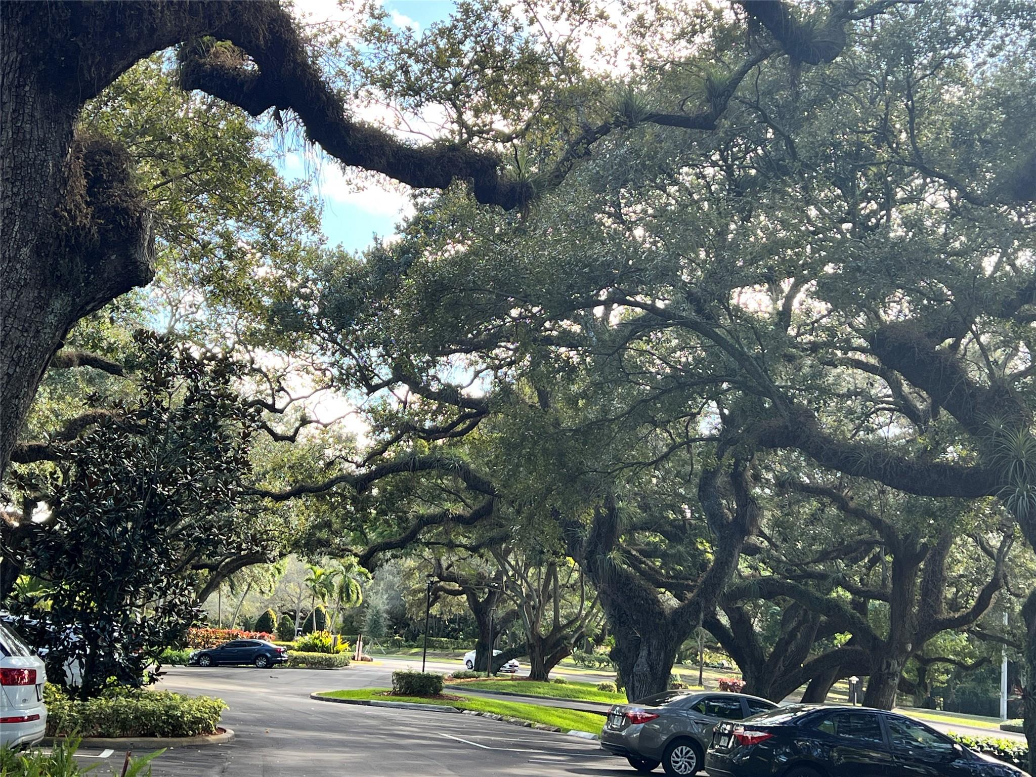 Ridgewood - Residential