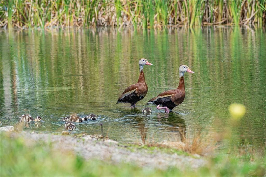 VISTA ROYALE PHASE IV BLDGS 83-111 - Residential