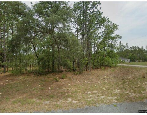 1920 W Linden Drive Citrus Springs FL 34434