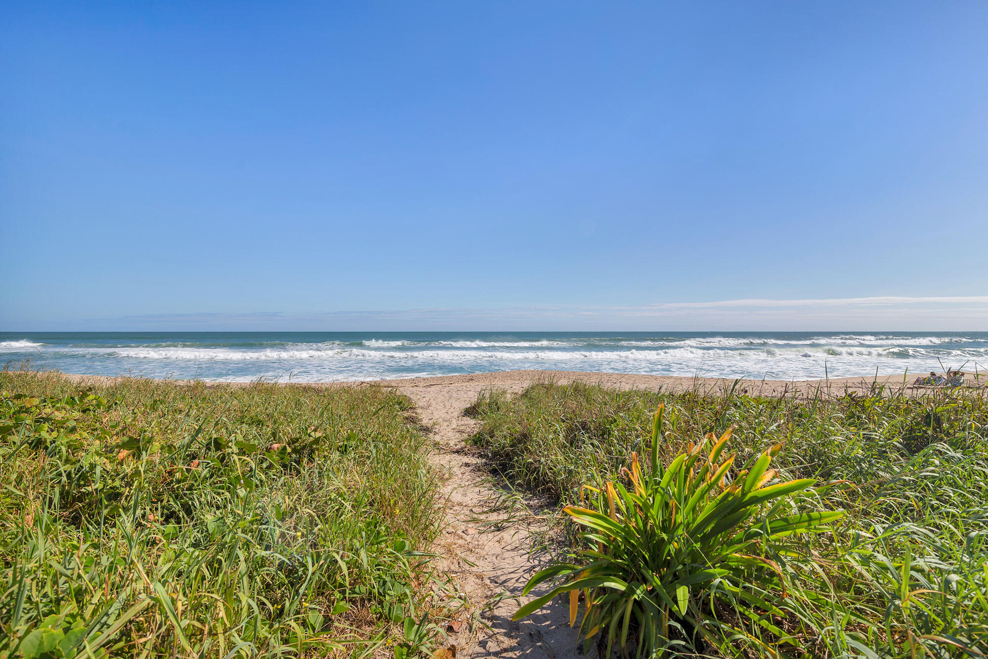 LEVERETT HOUSE CONDO - Residential