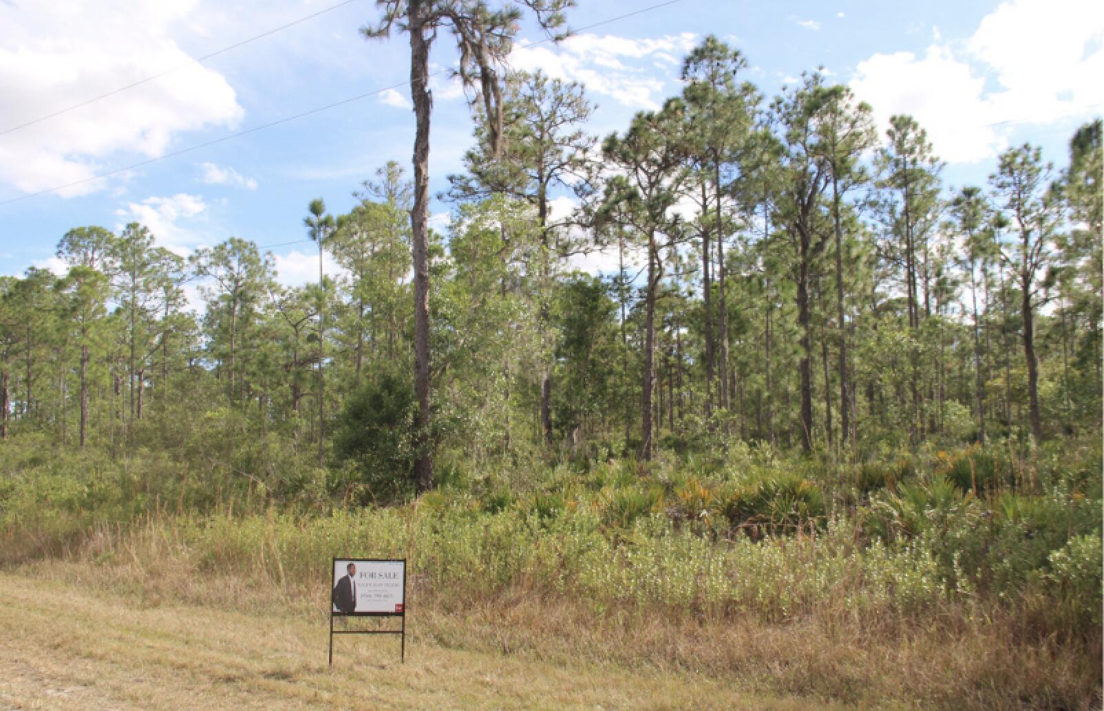 INDIAN LAKE ESTATES UNIT 09 REVISED - Land