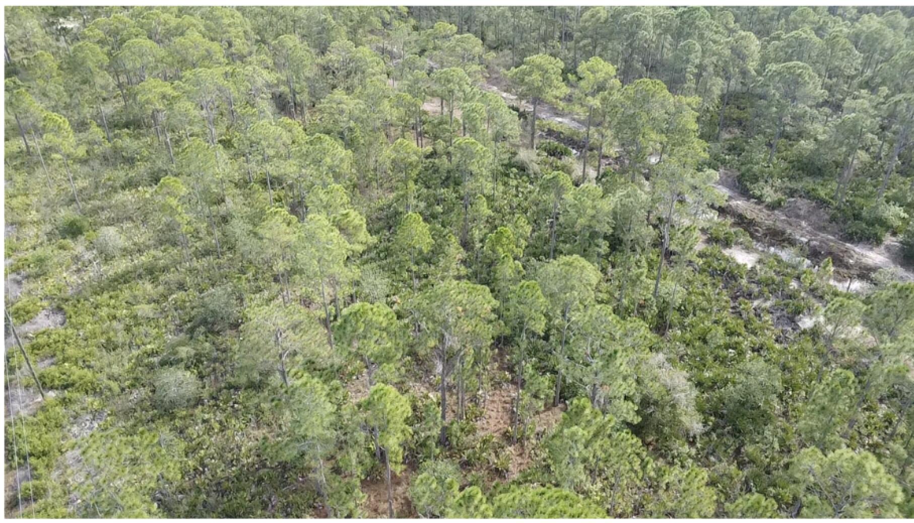 INDIAN LAKE ESTATES UNIT 09 REVISED - Land