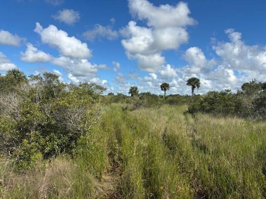 5 acres in Viking Estates! Close to the Kissimmee Prairie State Park. Bring your 4 -wheelers. This property is not only ideal for recreational uses such has camping, hunting and shooting, but it’s agricultural as well.Owner financing available