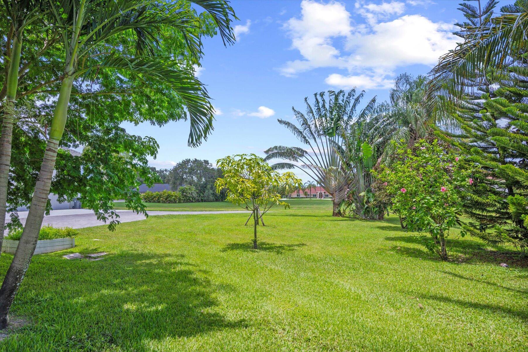 WELLINGTON AERO CLUB OF T - Residential