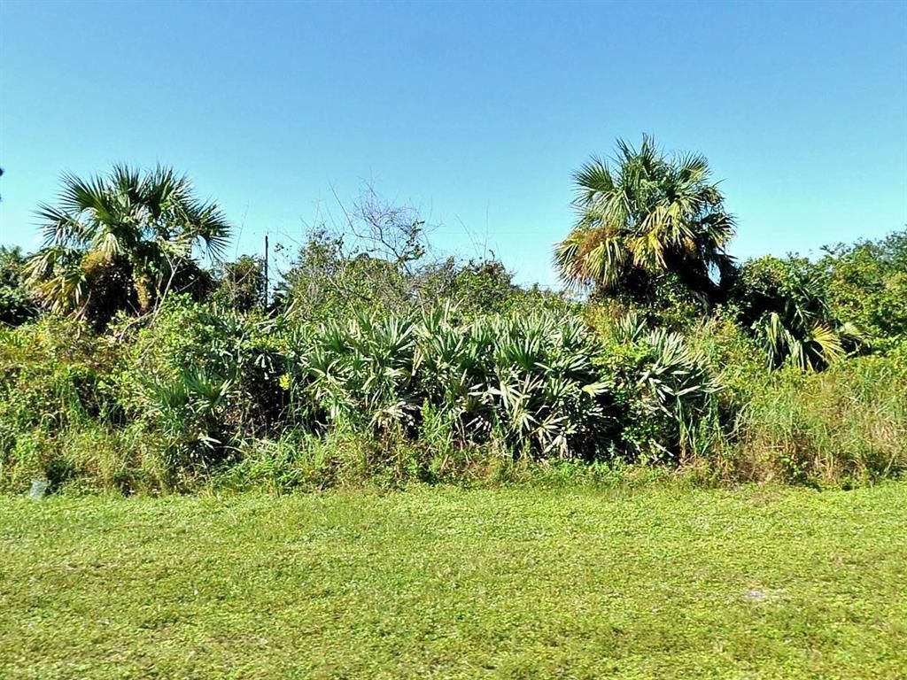 Photo of 832 SW Del Rio Boulevard, Port Saint Lucie, FL 34953 (MLS # R10764366)