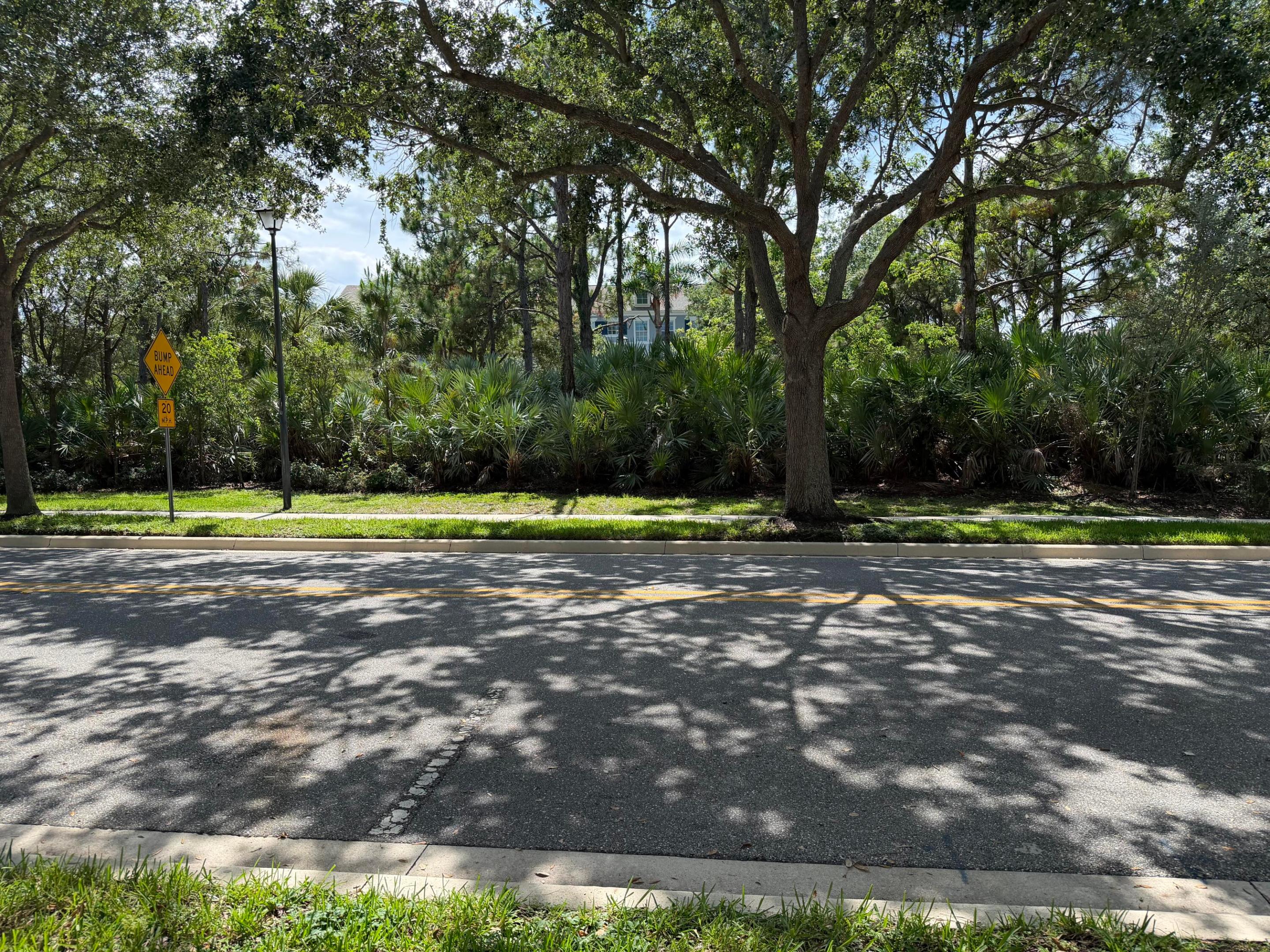241 E Thatch Palm Circle