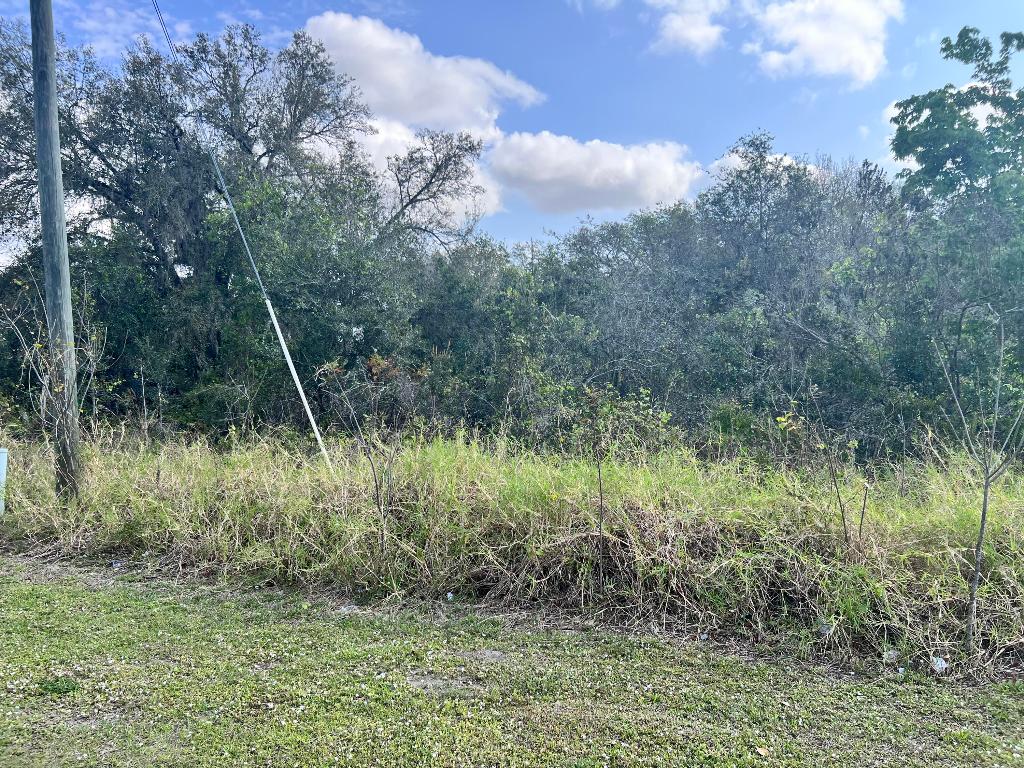 SEBRING LAKES UNIT 2 A - Land
