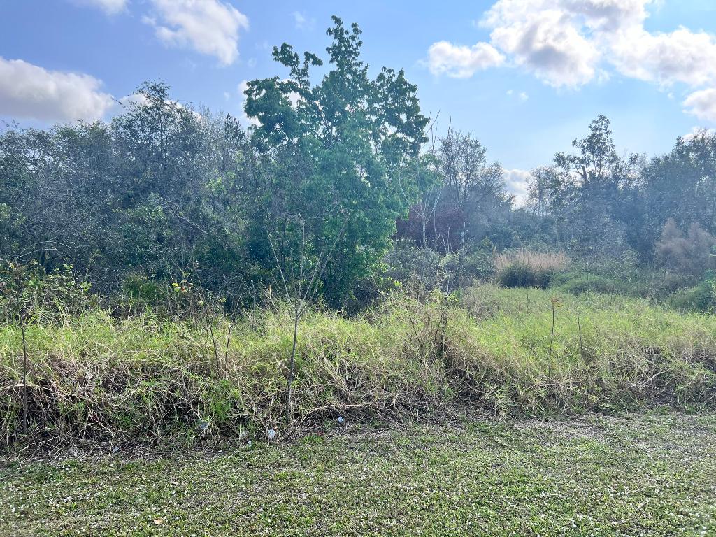 SEBRING LAKES UNIT 2 A - Land