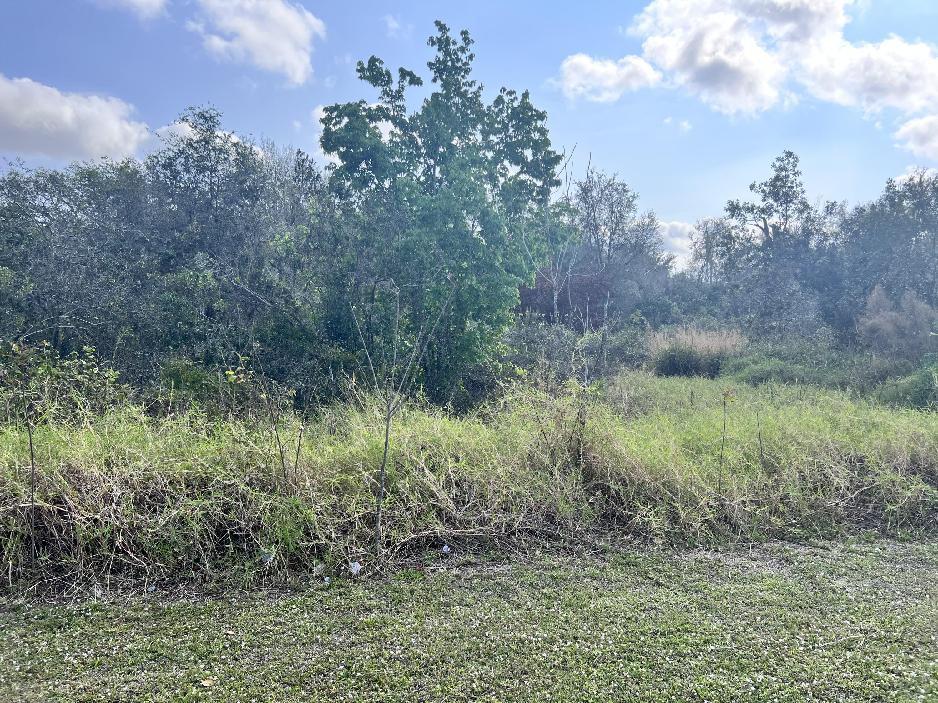 OWNER FINANCIAL AVAILABLE!! If you want to be close to everything, Sebring is the city in FL. This lot is near Orlando, Fort Myers, Okeechobee, and Port Charlotte. This is perfect for you, looking for a new town to start a new life and build your new home.