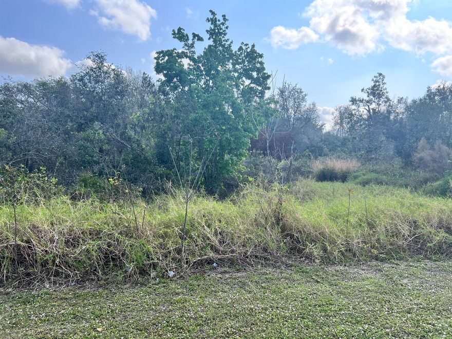 OWNER FINANCIAL AVAILABLE!! If you want to be close to everything, Sebring is the city in FL. This lot is near Orlando, Fort Myers, Okeechobee, and Port Charlotte. This is perfect for you, looking for a new town to start a new life and build your new home.