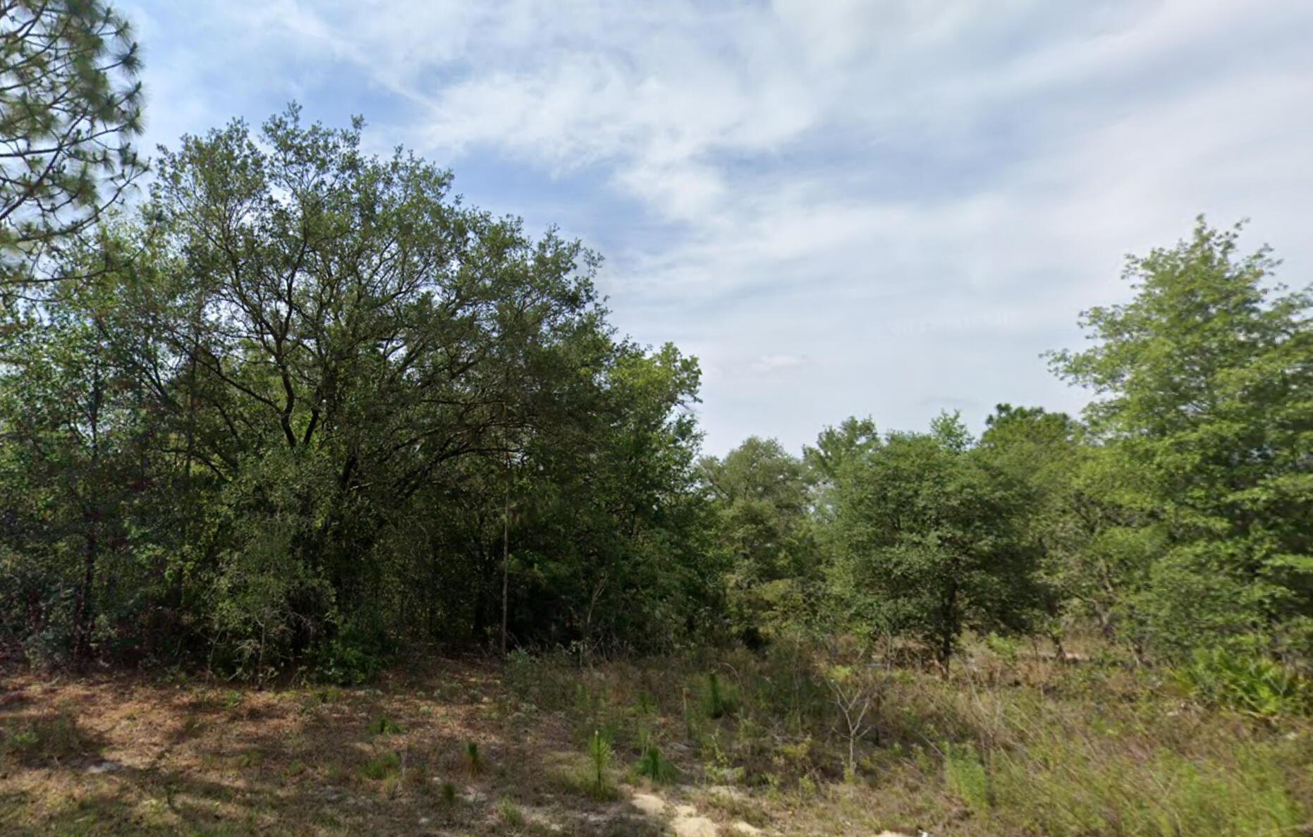 CITRUS SPRINGS UNIT 23 - Land