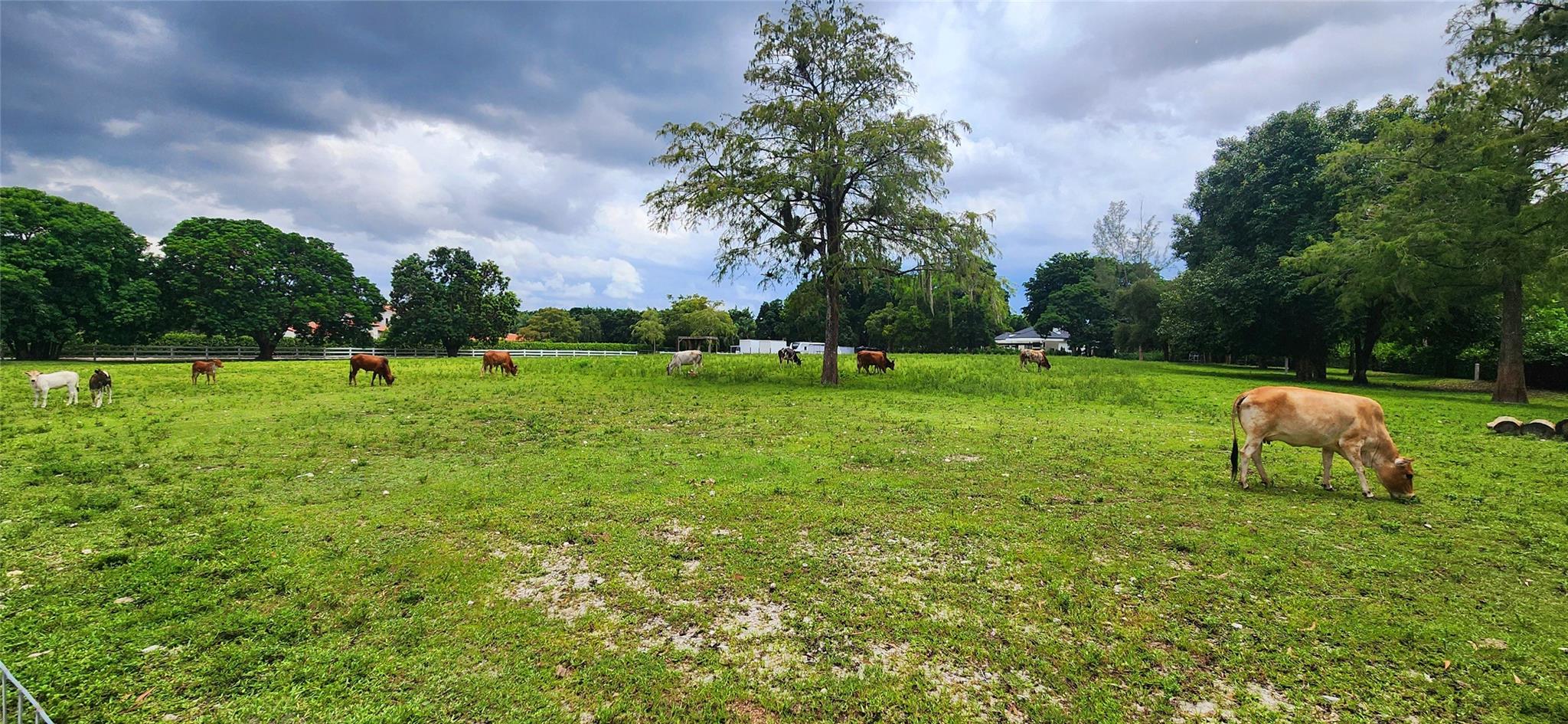 Spectacular 3 acre lot in the highly desired "The Ranches" of Parkland neighborhood. Surrounded by gorgeous custom estate homes. This lot has been cleared and filled and ready for your dream home to be built. Graded to engineered specifications to avoid any flooding. City water and electric and cable on property. Perfectly located where you can enjoy both the city and the country. No HOA. Agricultural exemption currently applied. Excellent rated schools. Enjoy the Equestrian Center, beautiful parks, farmer's market, wonderful city events, shops and restaurants. Price is firm.