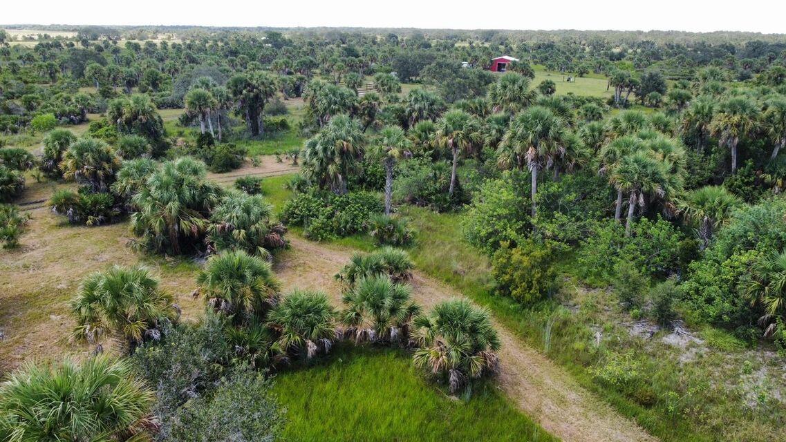 CABBAGE WOODS RANCHES - Land
