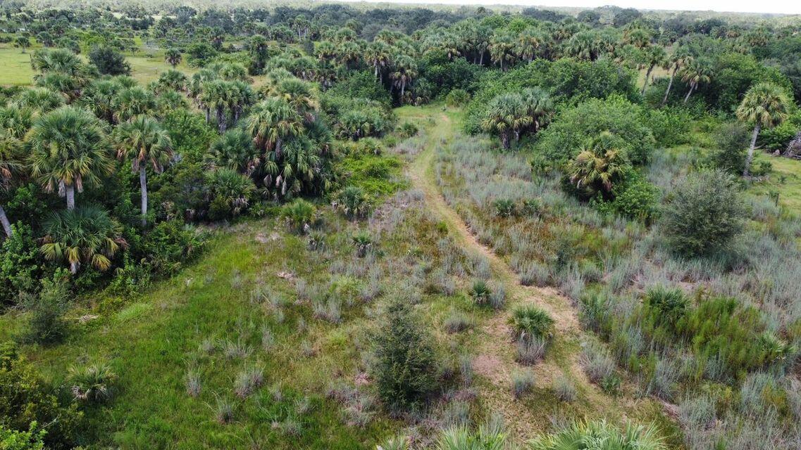 CABBAGE WOODS RANCHES - Land
