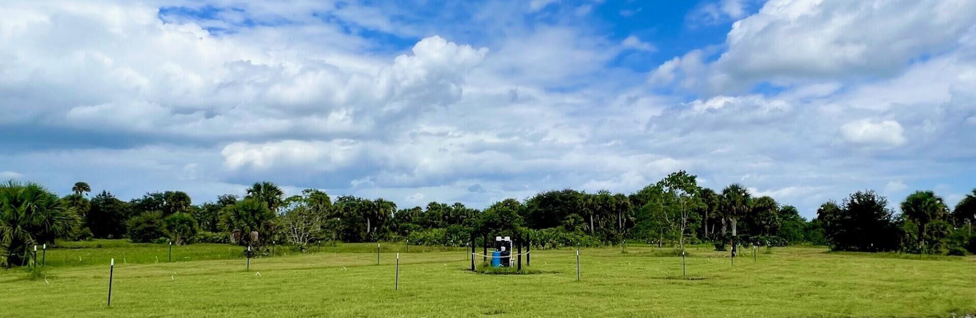 CABBAGE WOODS RANCHES - Land