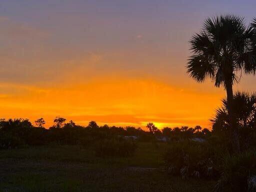 CABBAGE WOODS RANCHES - Land