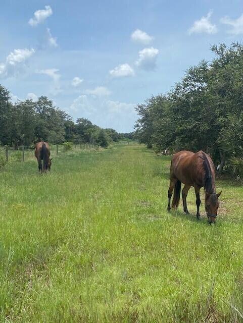 CABBAGE WOODS RANCHES - Land