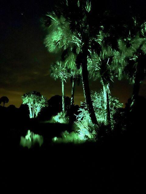 CABBAGE WOODS RANCHES - Land