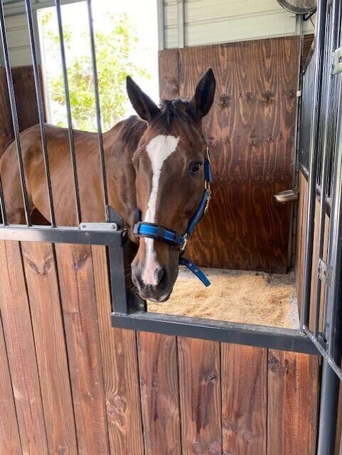 CABBAGE WOODS RANCHES - Land