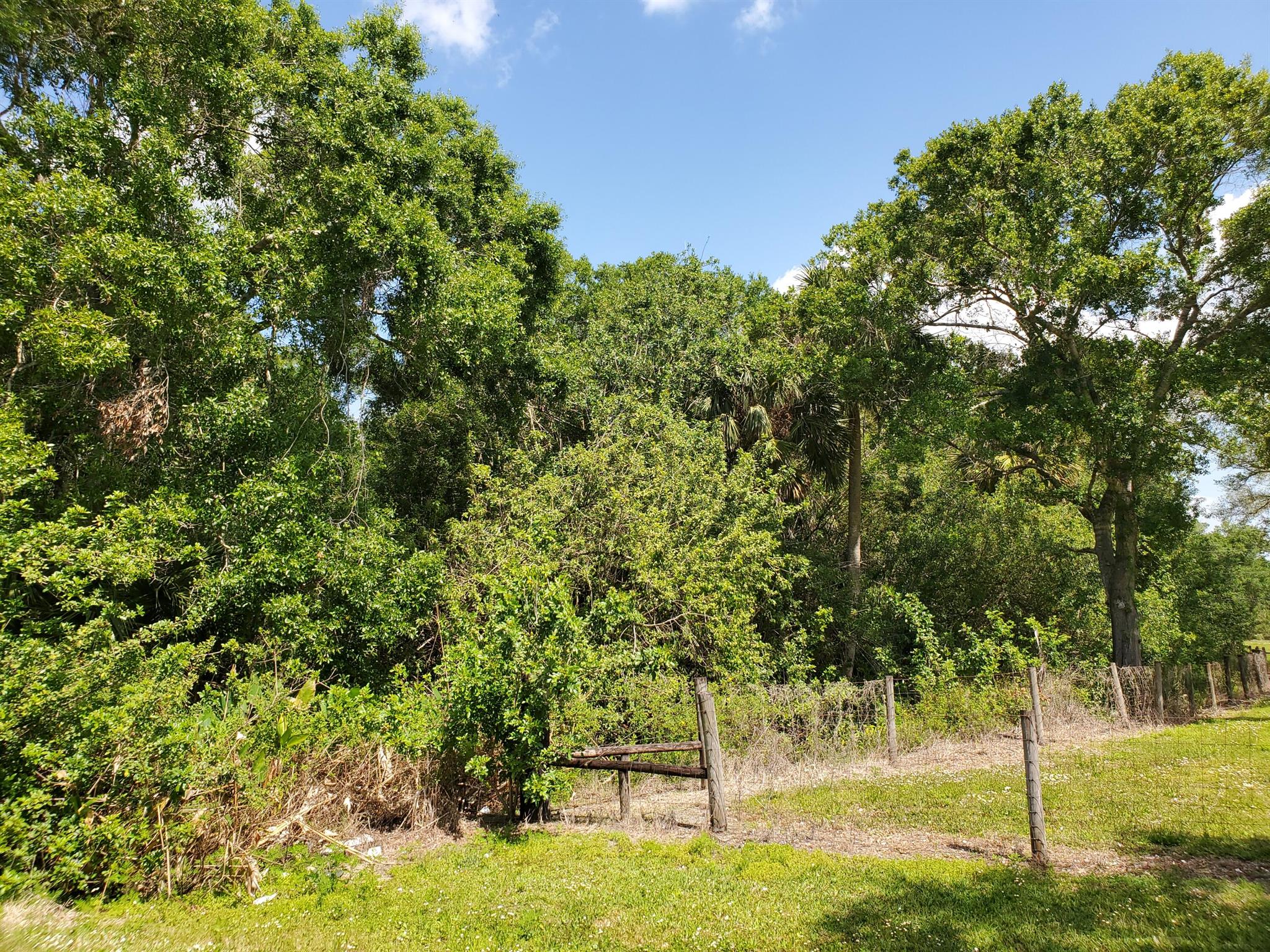 Discover a blend of natural beauty and privacy with these two acres of land located in the community of Four Seasons. This untouched property features a rich landscape dominated by oak trees and scattered pine trees, creating a peaceful and wooded retreat.Lot 50E offers an added charm with a small creek meandering along the edge of the property, adding to the tranquil ambiance and providing a natural water feature. Neither lot has been cleared, allowing you to preserve the natural surroundings or customize the space to your vision.The road ends at the boundary of both lots, ensuring privacy and minimal traffic. Whether you're looking to build your home, or manufactured home, establish a weekend getaway, or invest in land with potential, this property offers many possibilities.