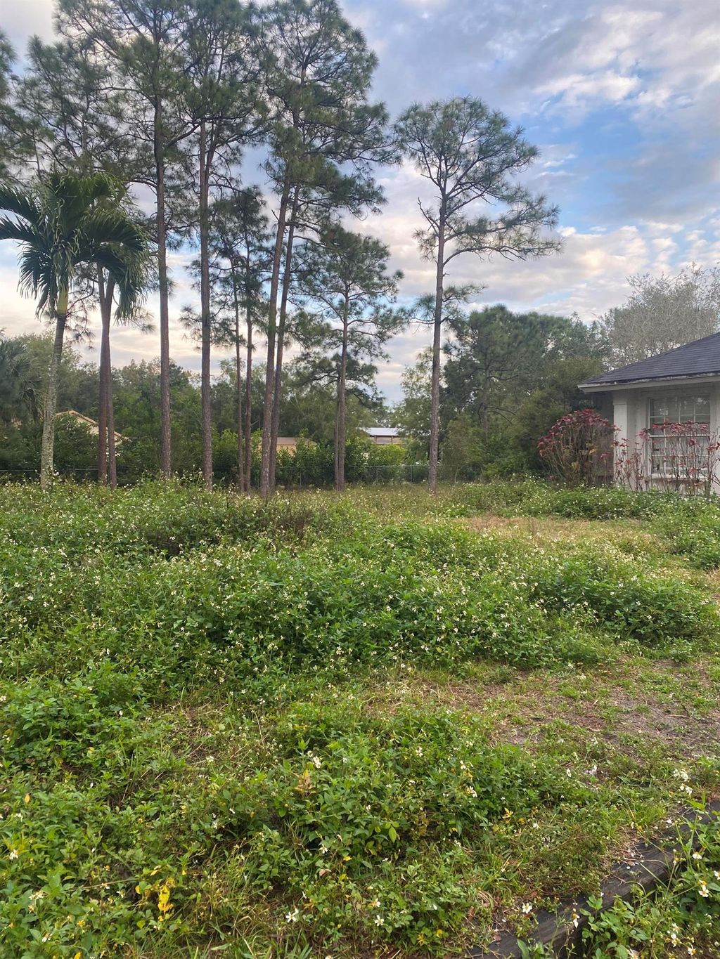 Photo of 15590 75th Lane N, Loxahatchee, FL 33470 (MLS # R10983896)