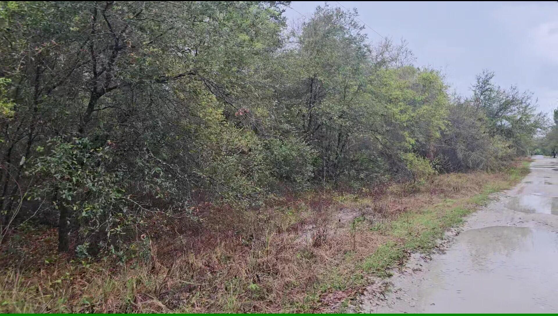 LEHIGH ACRES PROPERTIES UNREC - Land