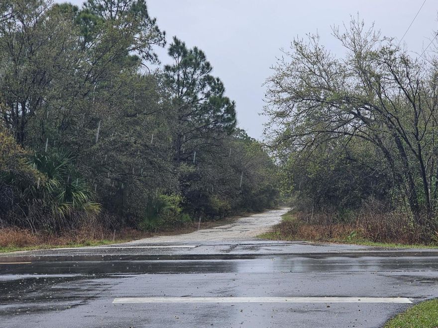 Fast growing area in a secluded street.