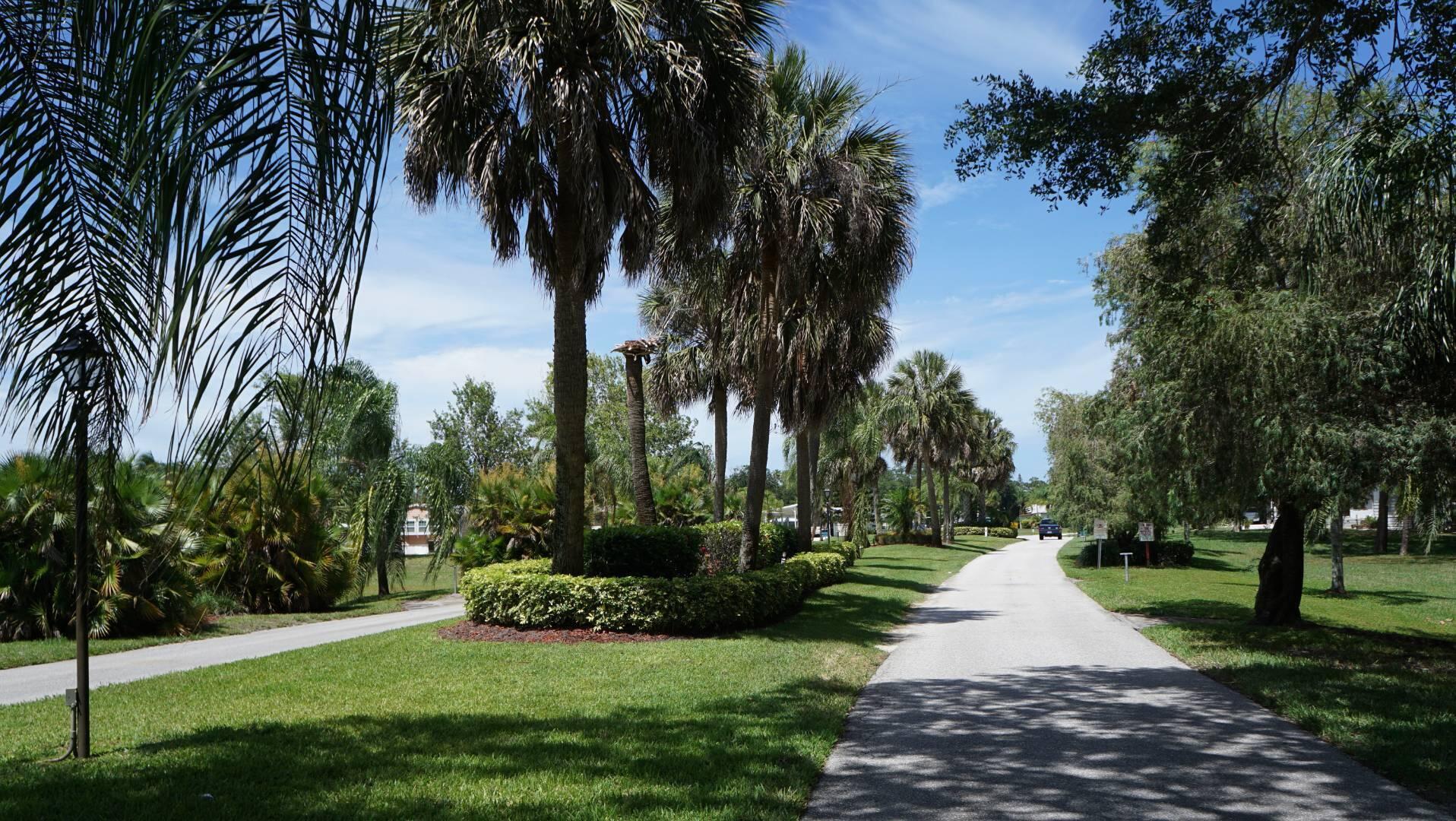 Spanish Lakes Golf - Residential