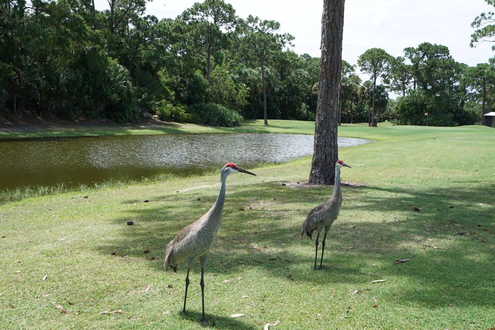 Spanish Lakes Golf - Residential