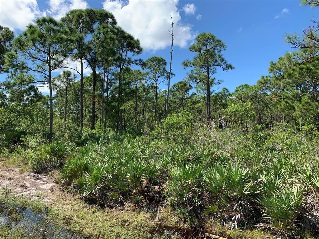 Photo of 7540 Gullotti Place, Port Saint Lucie, FL 34952 (MLS # R10662583)