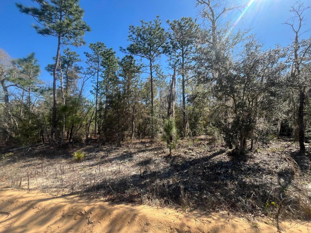 INTERLACHEN LAKES ESTATES - Land