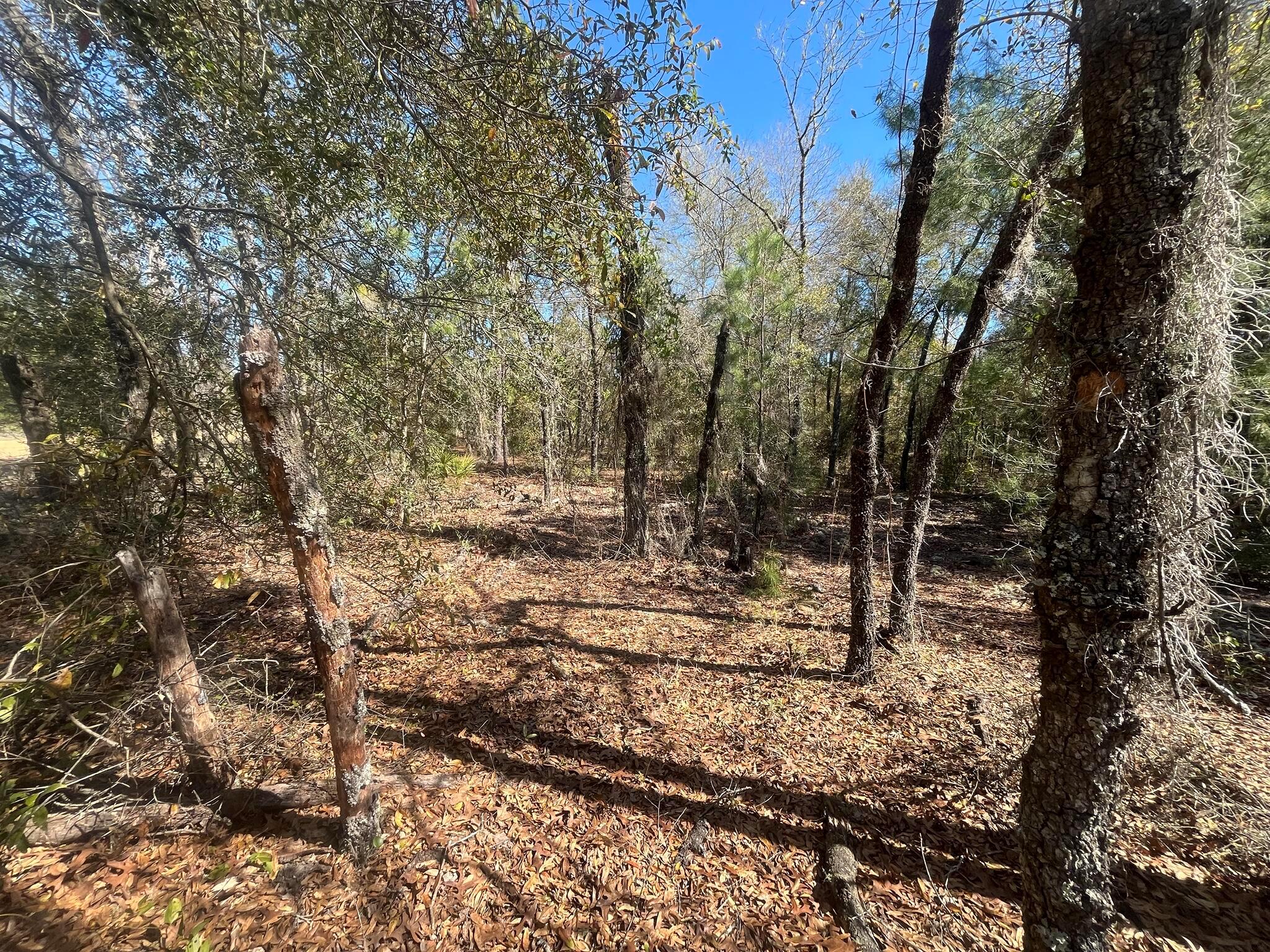 Do not miss out on this oversized 0.86-acre high and dry lot in the growing city of Interlachen. Located within minutes of schools, restaurants, diners, and parks. An easy commute to Gainesville or Palatka and less than an hour from the beach. Investing in land in Florida is a wise choice for your future, whether you're looking to build your dream home, a vacation getaway, a rental property, or simply let the land appreciate as a valuable long-term asset to resell at a profit in the future. For directional purposes please use 513 kitty ave
