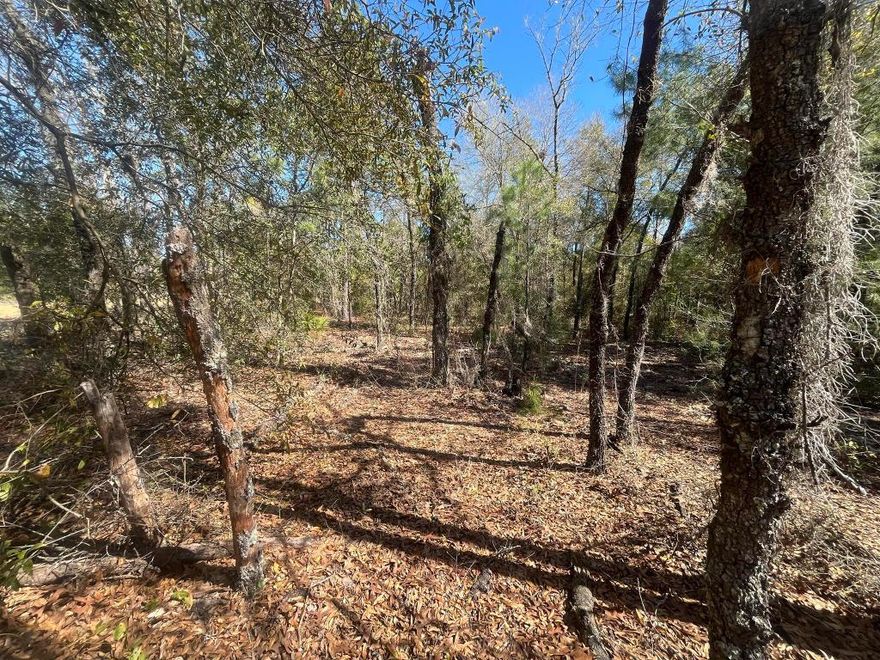 Zoned R-2 - Oversized 0.86-Acre Lot - Full Build Flexibility! Don't miss out on this high and dry 0.86-acre lot in the growing city of Interlachen! Located just minutes from schools, restaurants, parks, and an easy commute to Gainesville, Palatka, and Florida's beaches. Zoned R-2, this parcel allows for site-built, manufactured, modular, mobile, tiny homes, and barndominiums—giving you full flexibility to build your dream home, vacation retreat, or rental investment. Whether you're ready to build now or hold for future appreciation, this is a smart and affordable opportunity to own land in a thriving Florida community. For directional purposes, use 513 Kitty Ave, Interlachen, FL.