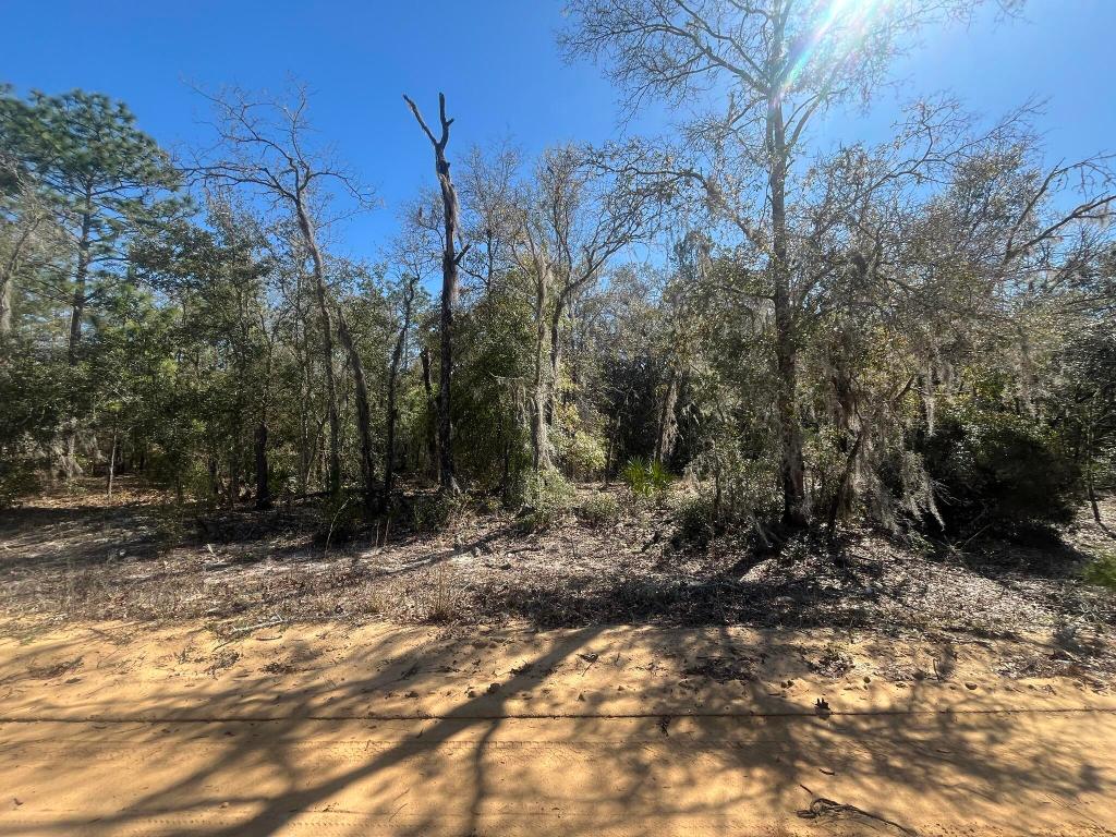 INTERLACHEN LAKES ESTATES - Land