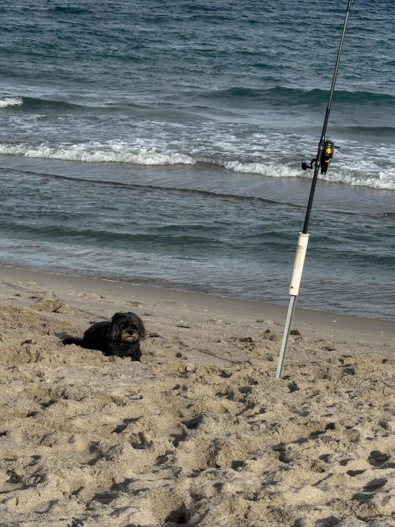 HILLSBORO MILE OCEAN APTS SEC 3 - Residential