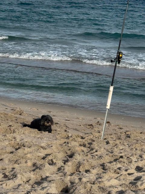 Tiny photo for 1041 Hillsboro Mile #18, Hillsboro Beach, FL 33062 (MLS # B26008134)