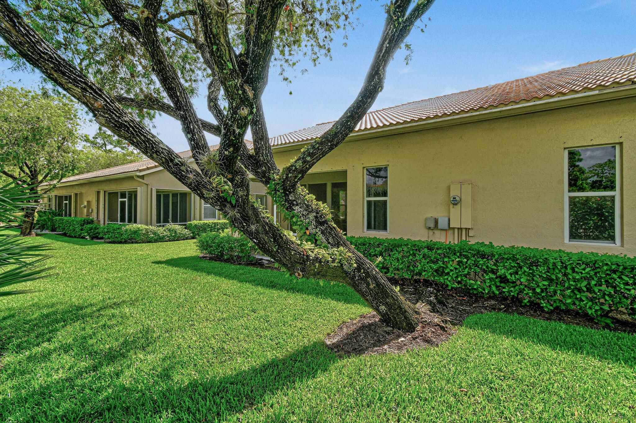 TORREY PINES - Residential