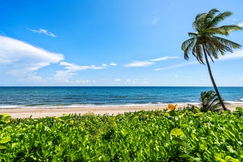Tiny photo for 2000 N Ocean Boulevard #103, Boca Raton, FL 33431 (MLS # B26083231)