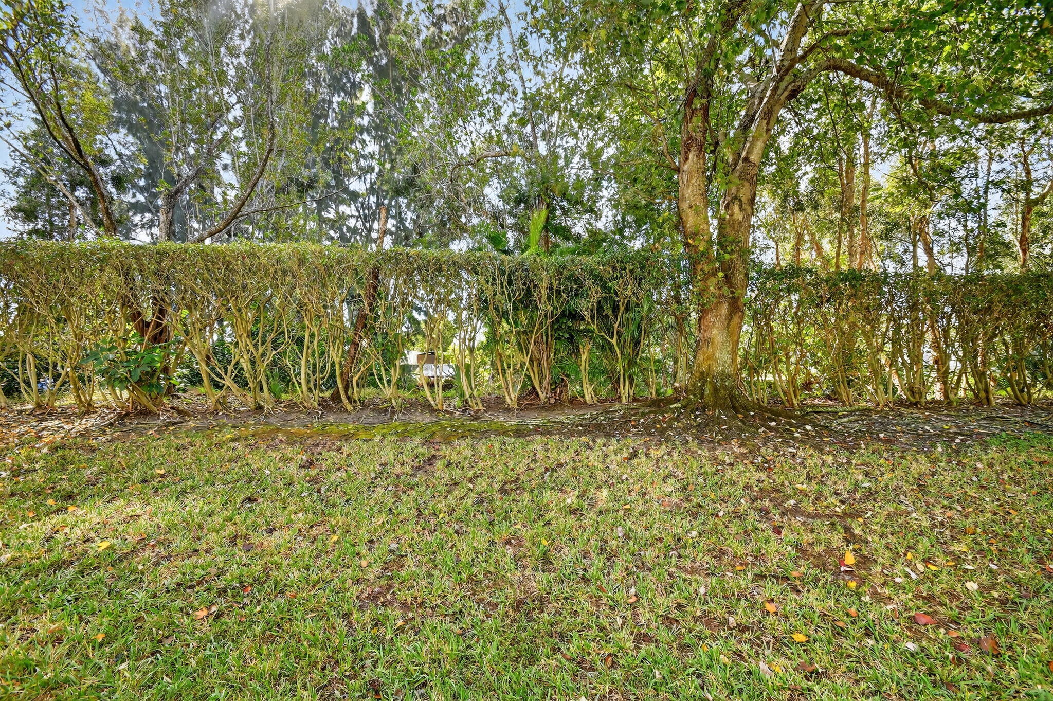 PALMBROOKE TOWNHOMES - Residential Lease