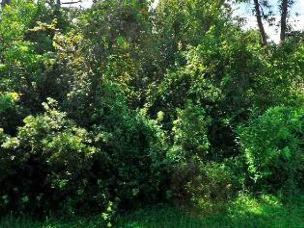 Photo of 1358 SE Preston Lane, Port Saint Lucie, FL 34983 (MLS # R10933309)